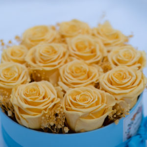 Rosas preservadas amarillas